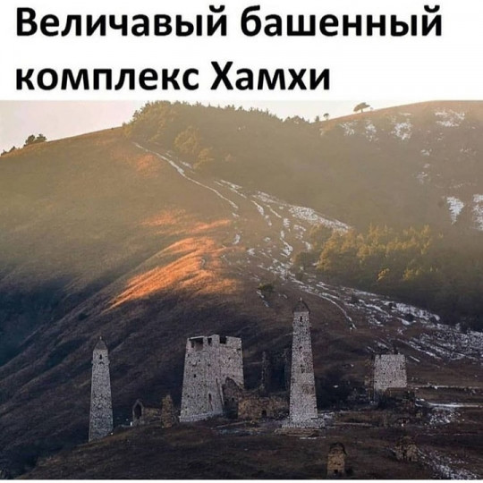 Род Хамхоевых
