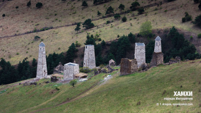 Хамхи